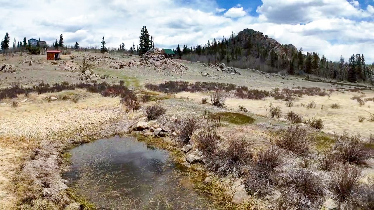 525 Swiggler Road Jefferson, CO 80456 - Photo 9 of 23 Mountain view
