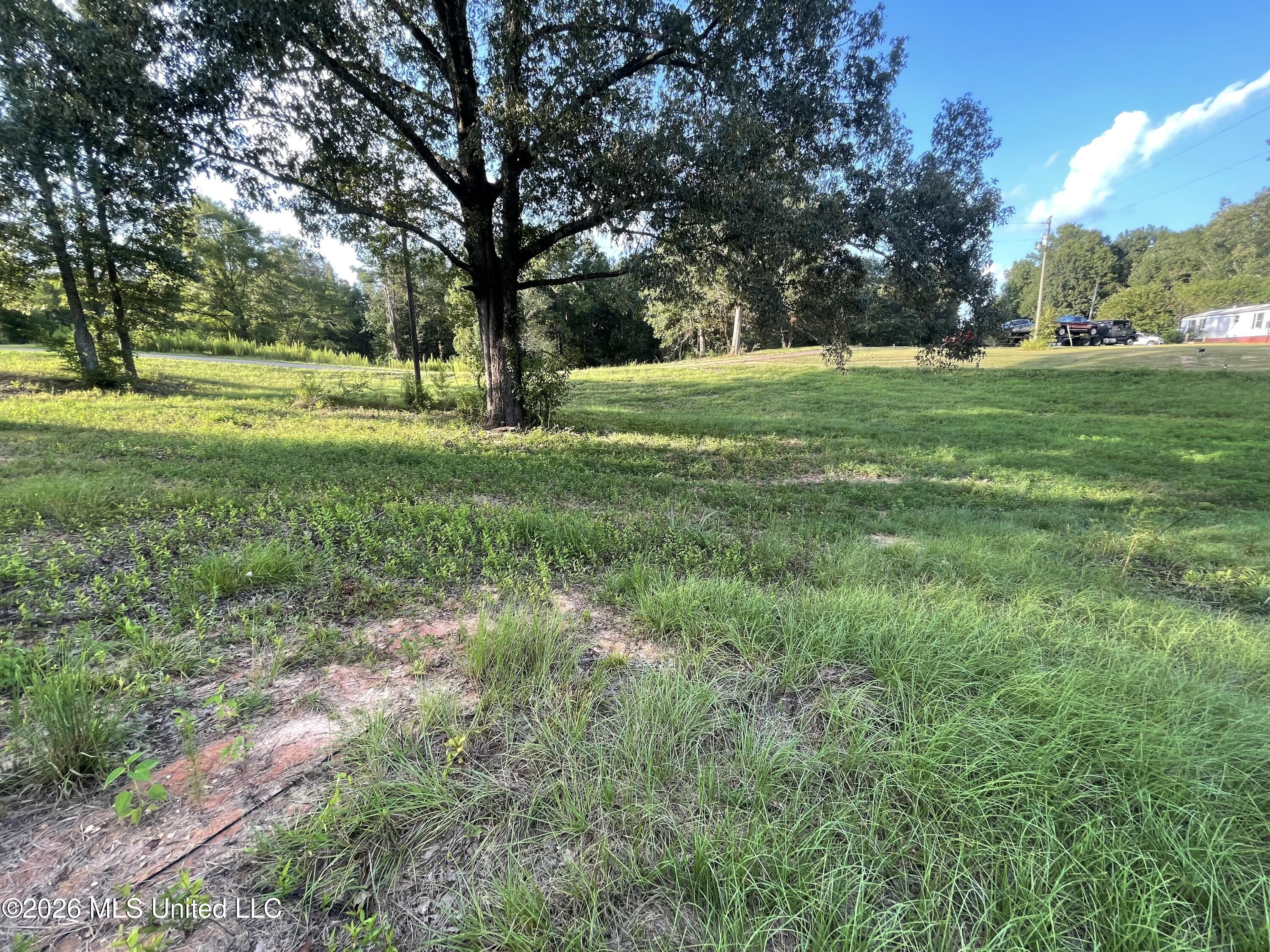 Roberts Lane Wesson, MS 39191 - Photo 3 of 9 Pic 3