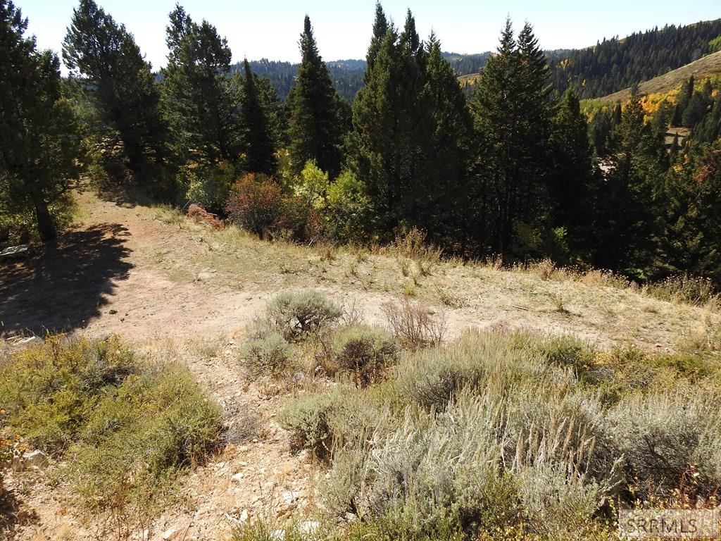 Tbd Sellers Creek Road Firth, ID 83236 - Photo 4 of 28