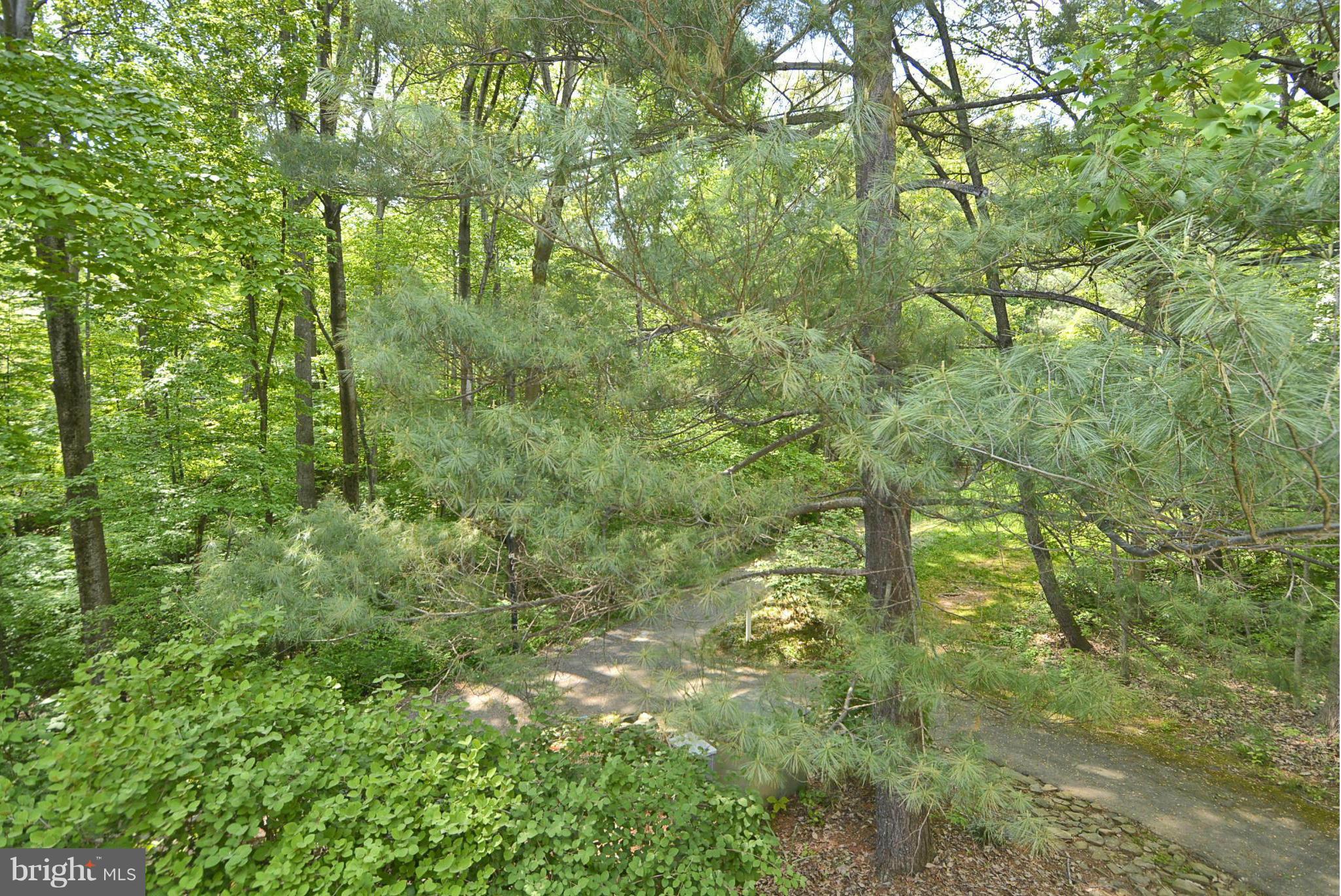 1601 Inlet Court Reston, VA 20190 - Photo 23 of 29 a view of a lush green forest