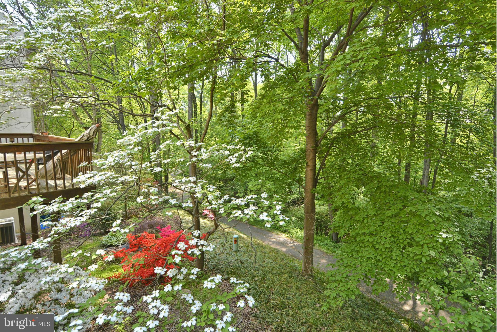 1601 Inlet Court Reston, VA 20190 - Photo 24 of 29 a backyard of a house with lots of green space and garden
