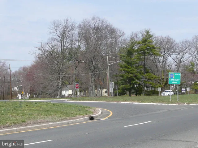 a view of a park with large trees
