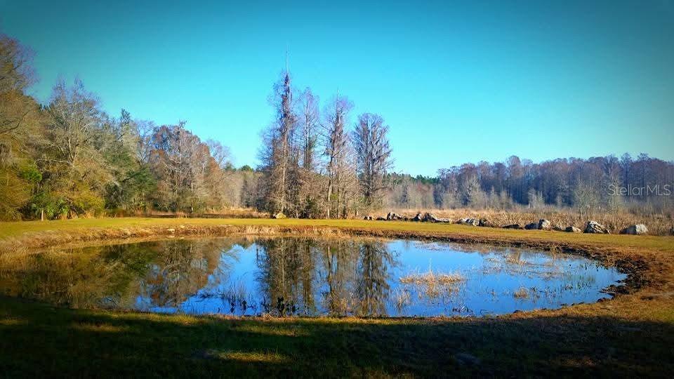 1106 Fox Hunter S Road Perry, FL 32348 - Photo 1 of 23 a view of a swimming pool and trees in the background