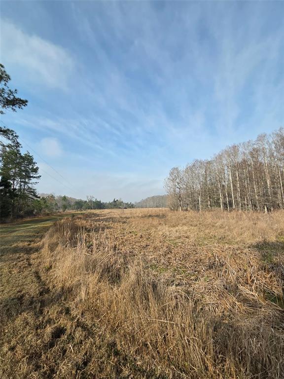 1106 Fox Hunter S Road Perry, FL 32348 - Photo 16 of 23 a view of lake and mountain