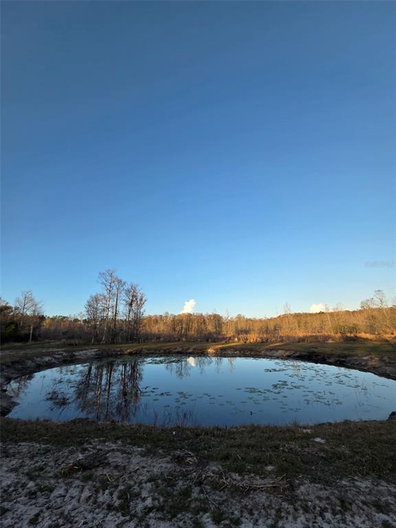 1106 Fox Hunter S Road Perry, FL 32348 - Photo 2 of 23 a view of sunset and yard