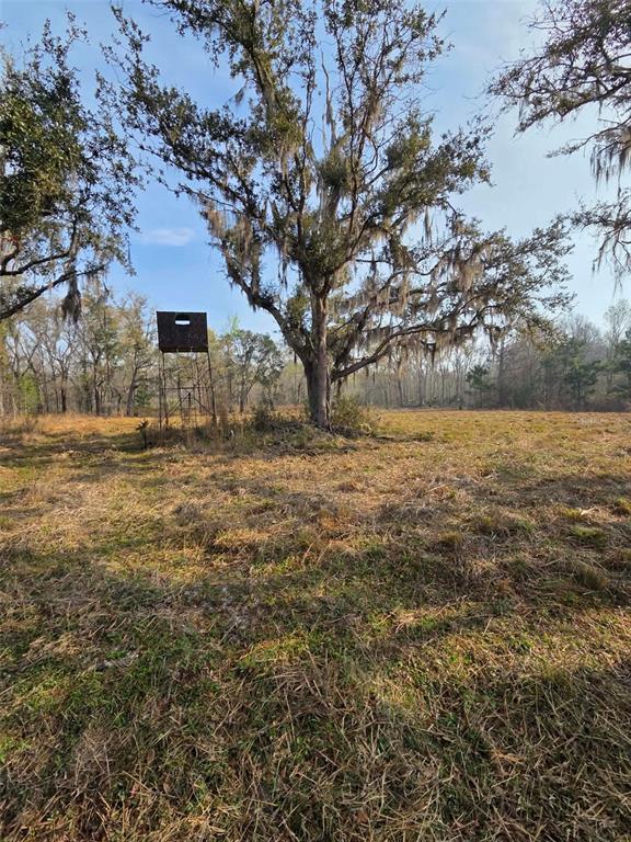 1106 Fox Hunter S Road Perry, FL 32348 - Photo 4 of 23 a view of a yard with a house