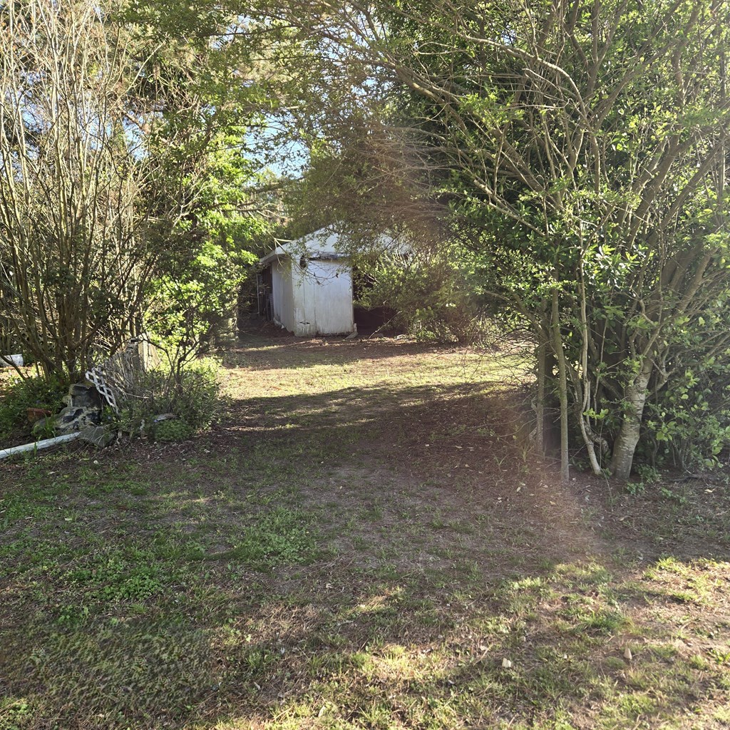27282 Cheapside Road Cape Charles, VA 23310 - Photo 3 of 16 a view of a yard with large trees