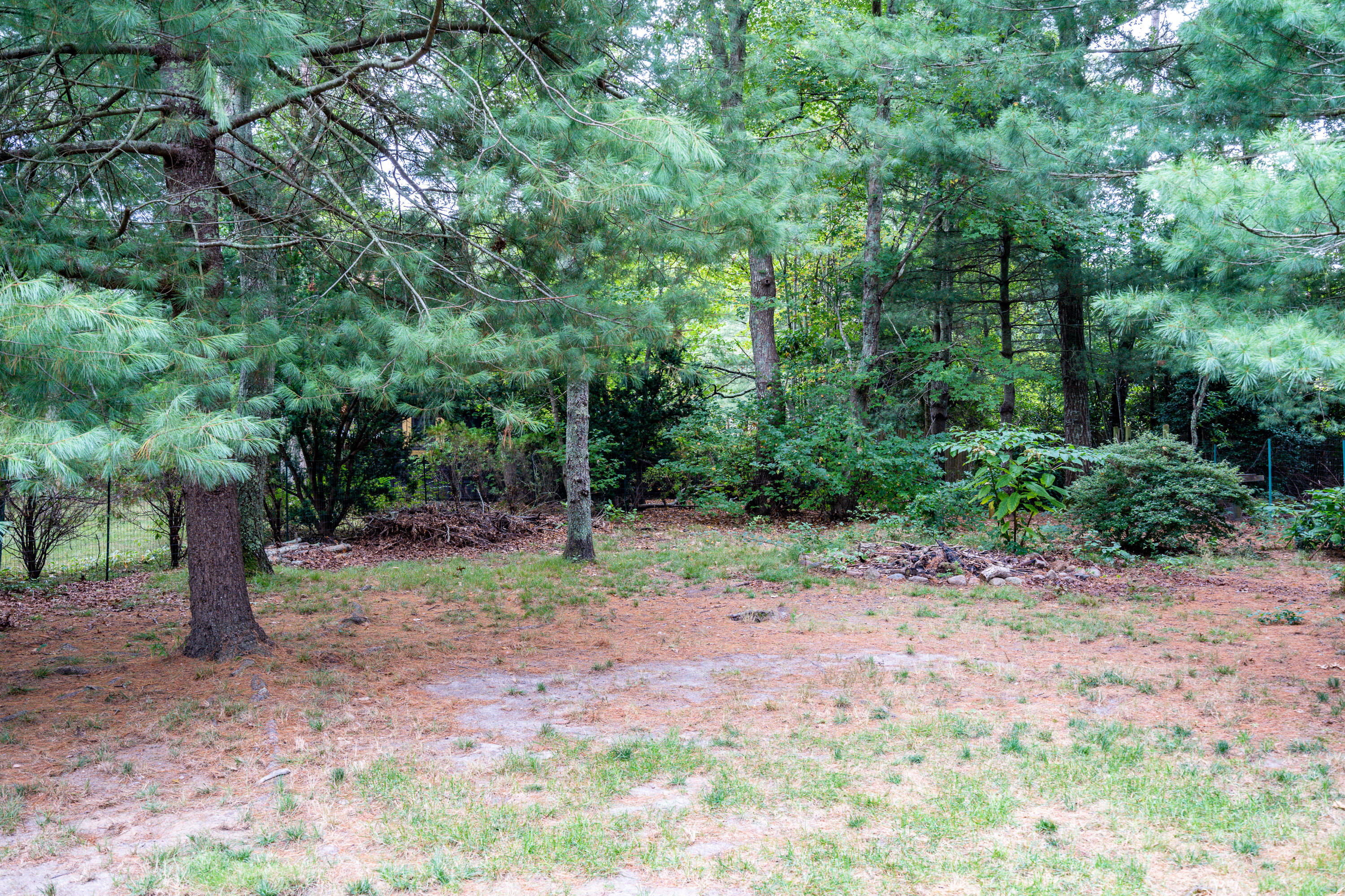 74 Cap'n Lijah's Road Centerville, MA 02632 - Photo 20 of 25 backyard