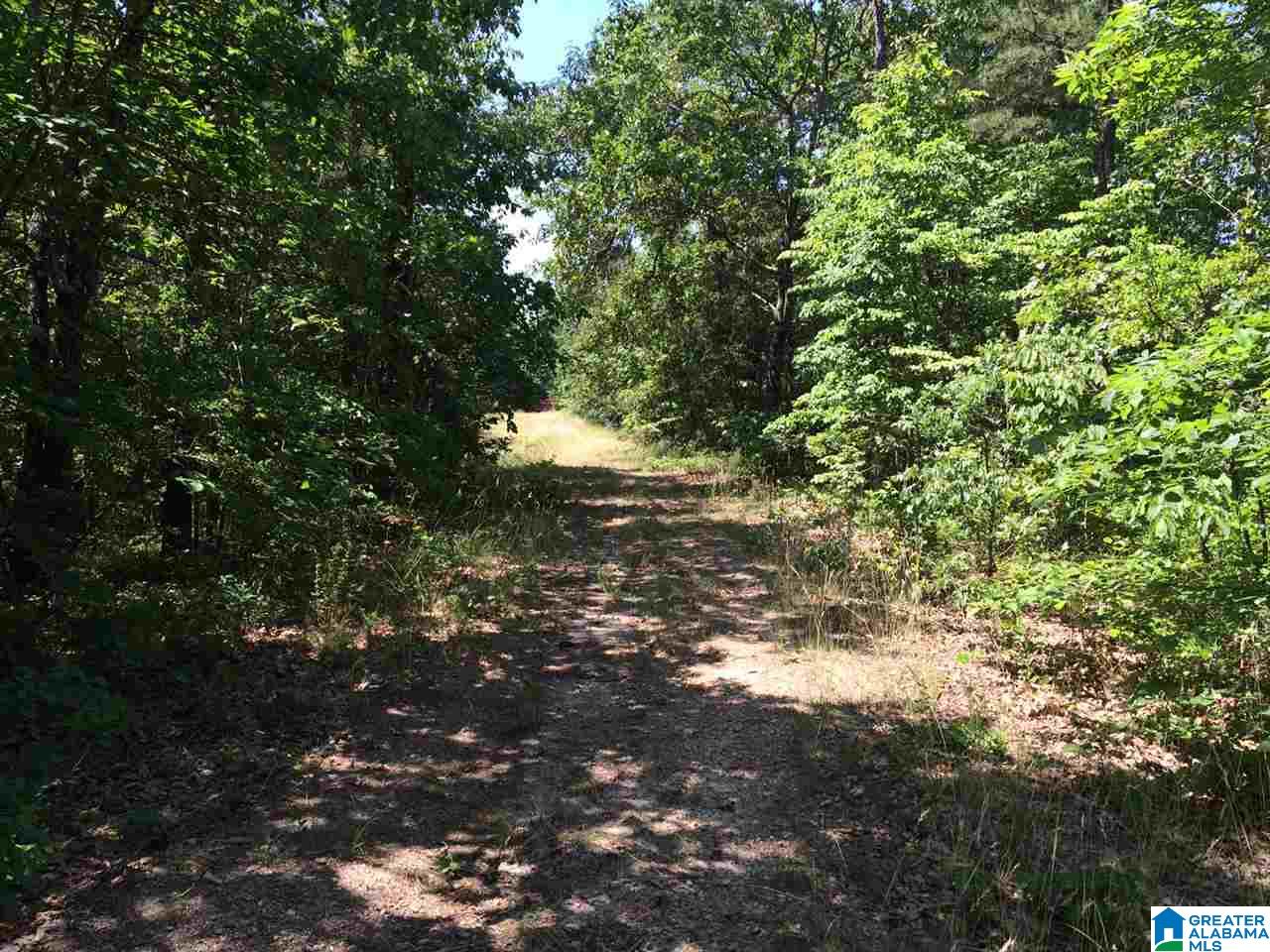 Pleasant Valley Road, Unit 40 Odenville, AL 35120 - Photo 4 of 6
