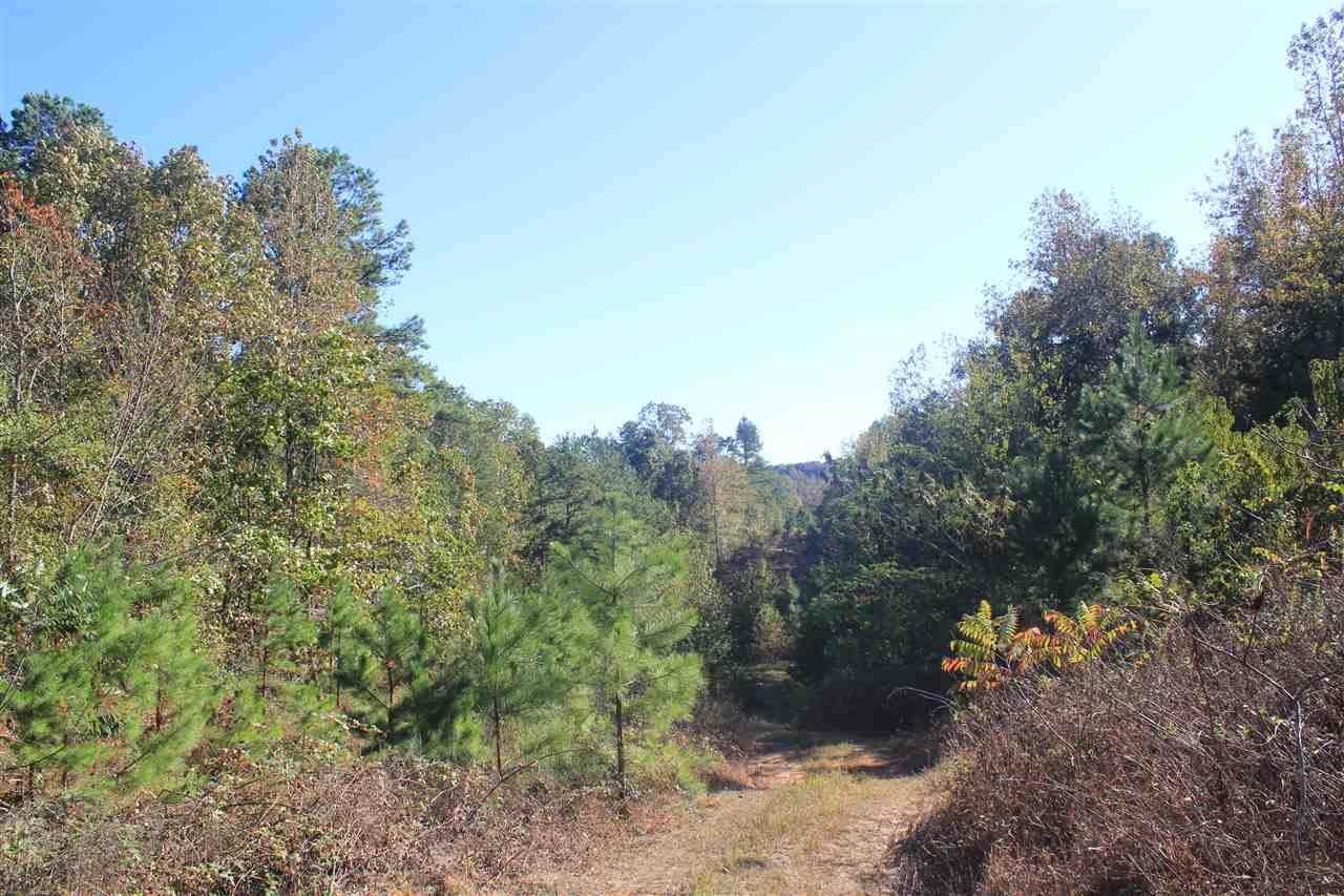 3835 Wilson Golden Road Waterford, MS 38685 - Photo 1 of 25 Gallery Image 1