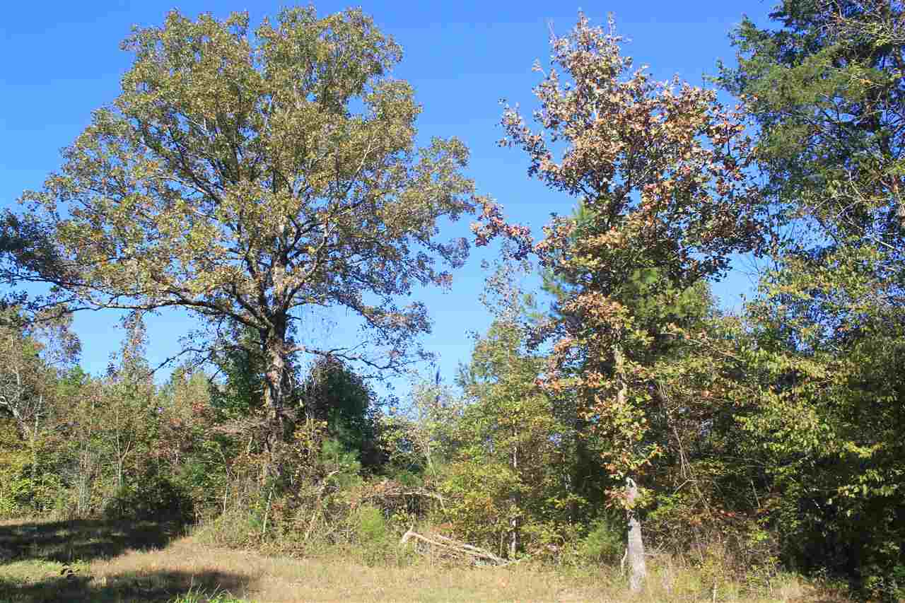 3835 Wilson Golden Road Waterford, MS 38685 - Photo 14 of 25 Gallery Image 14