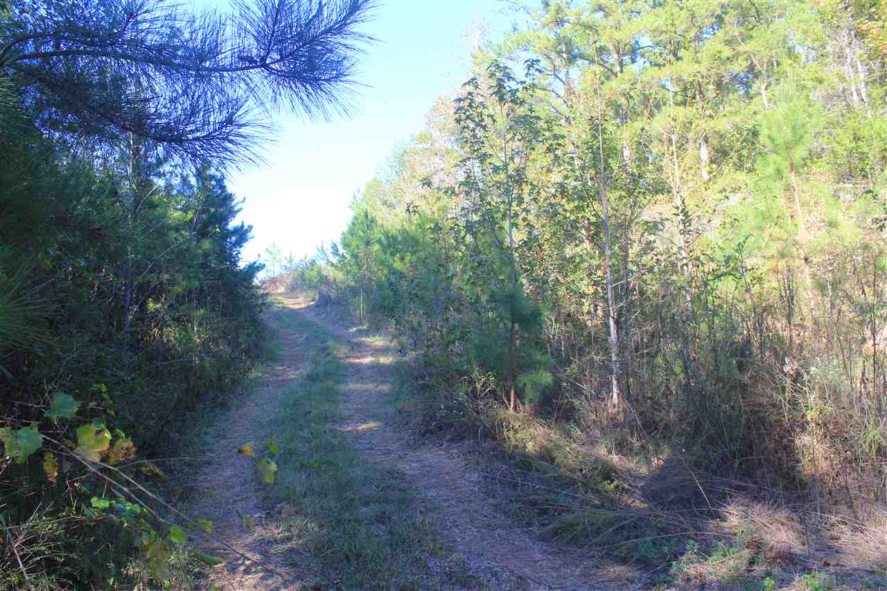 3835 Wilson Golden Road Waterford, MS 38685 - Photo 3 of 25 Gallery Image 3