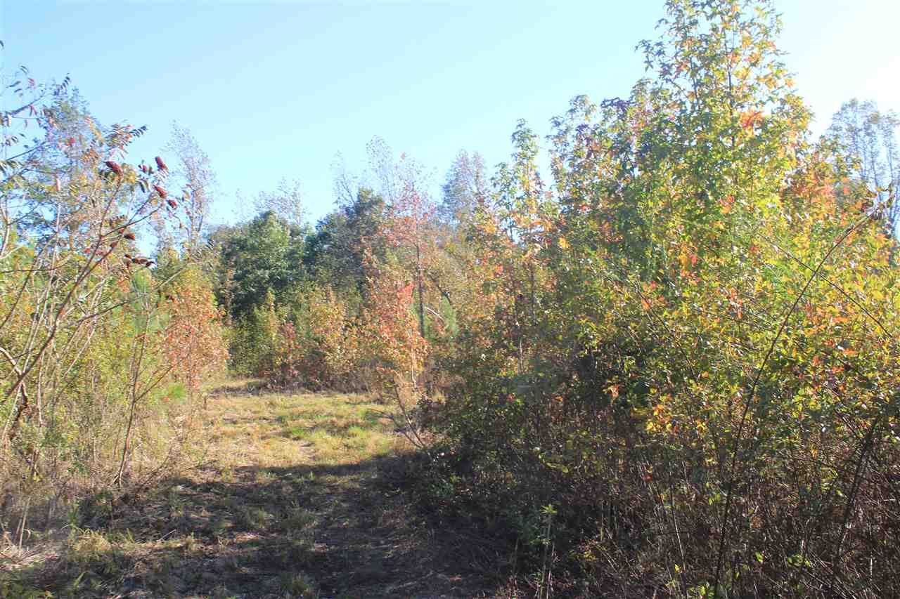 3835 Wilson Golden Road Waterford, MS 38685 - Photo 22 of 25 Gallery Image 22