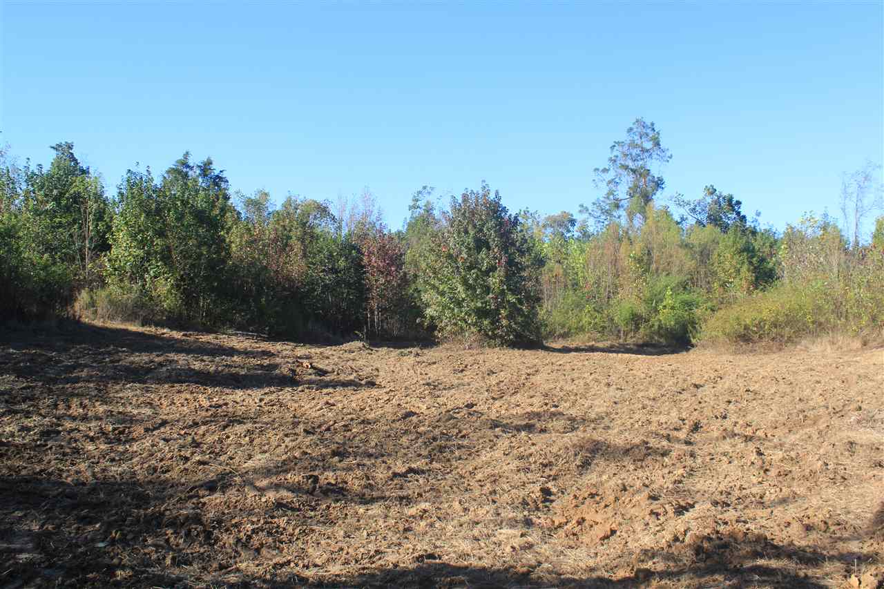 3835 Wilson Golden Road Waterford, MS 38685 - Photo 23 of 25 Gallery Image 23