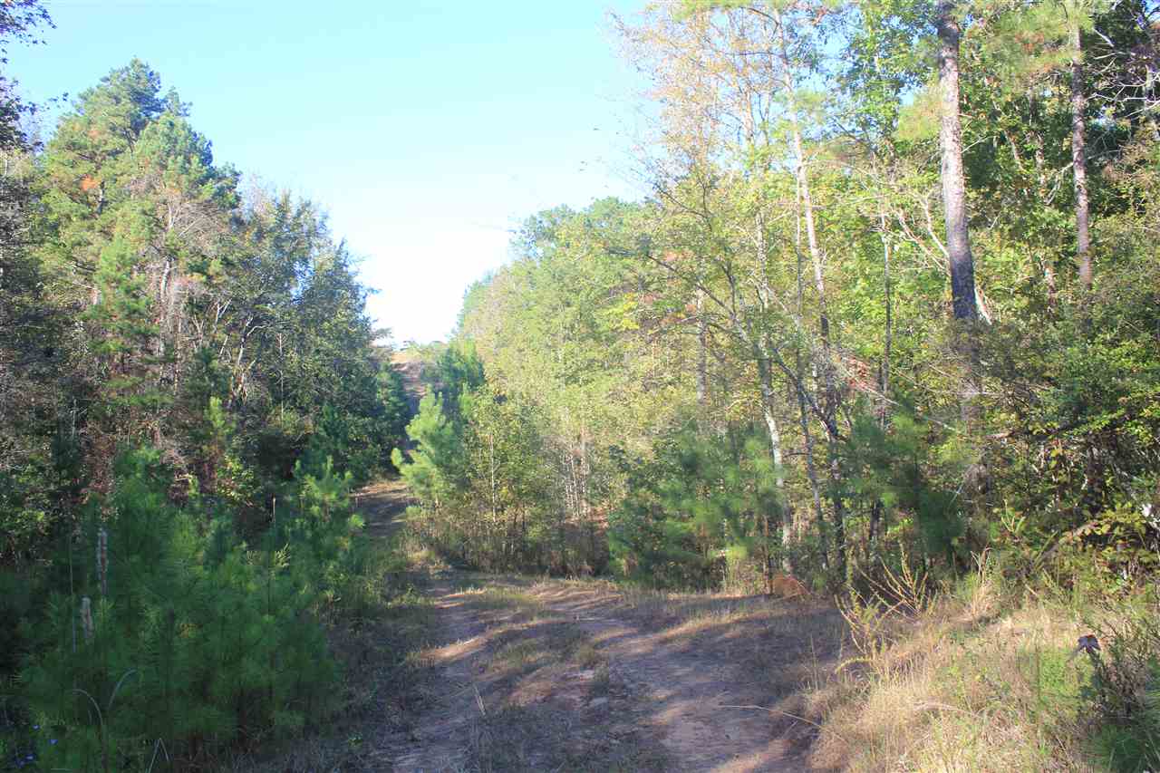 3835 Wilson Golden Road Waterford, MS 38685 - Photo 6 of 25 Gallery Image 6