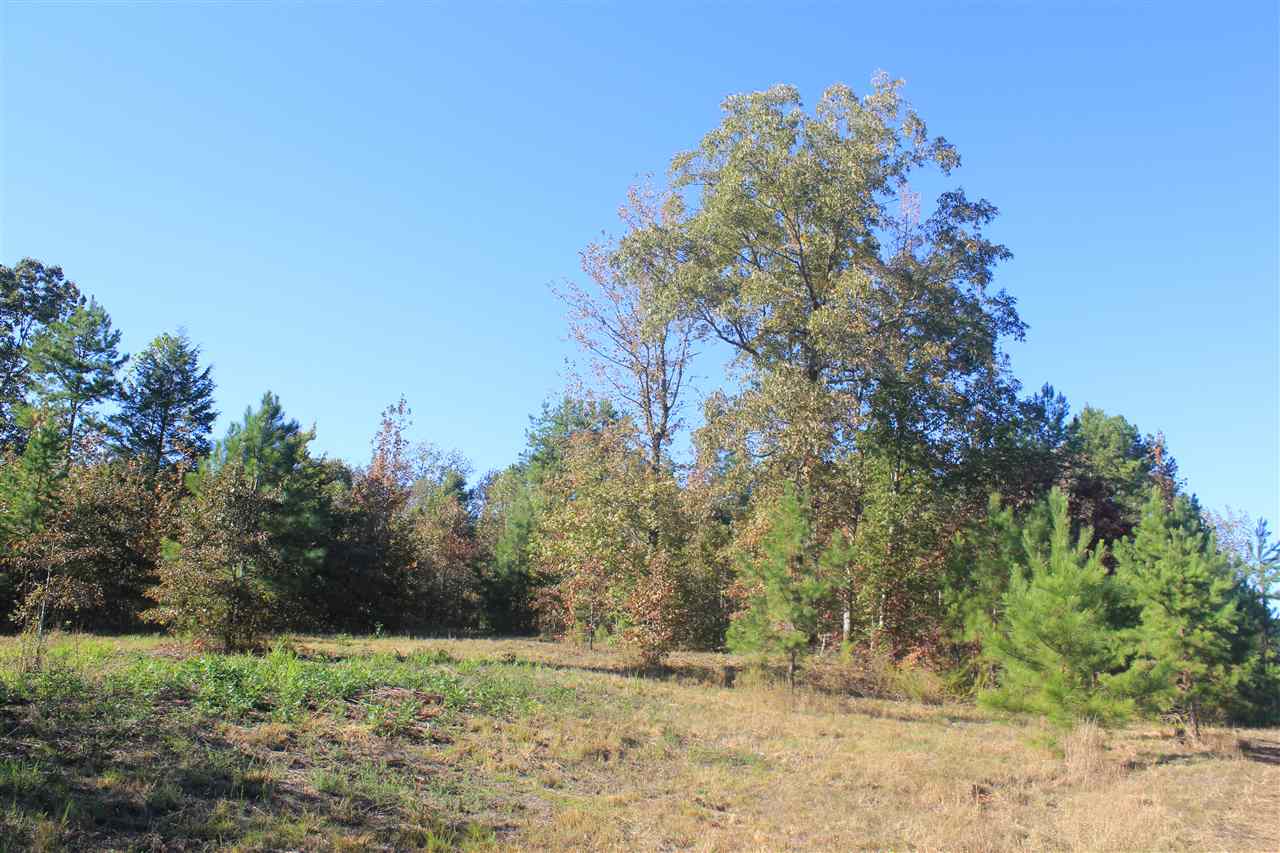 3835 Wilson Golden Road Waterford, MS 38685 - Photo 8 of 25 Gallery Image 8