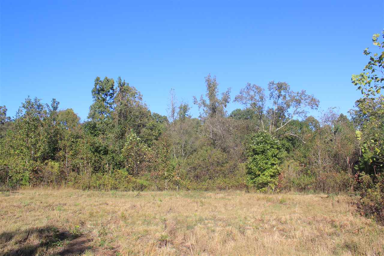 3835 Wilson Golden Road Waterford, MS 38685 - Photo 9 of 25 Gallery Image 9