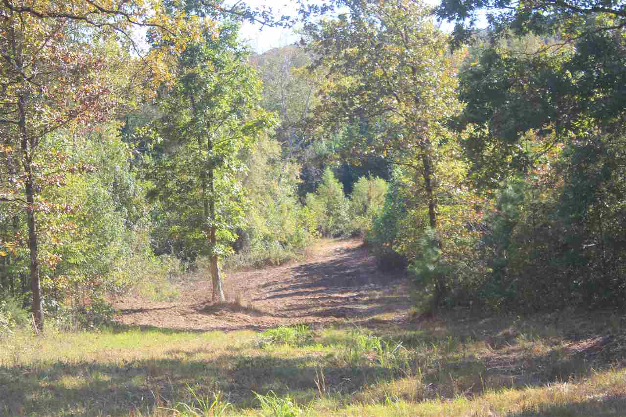 3835 Wilson Golden Road Waterford, MS 38685 - Photo 10 of 25 Gallery Image 10