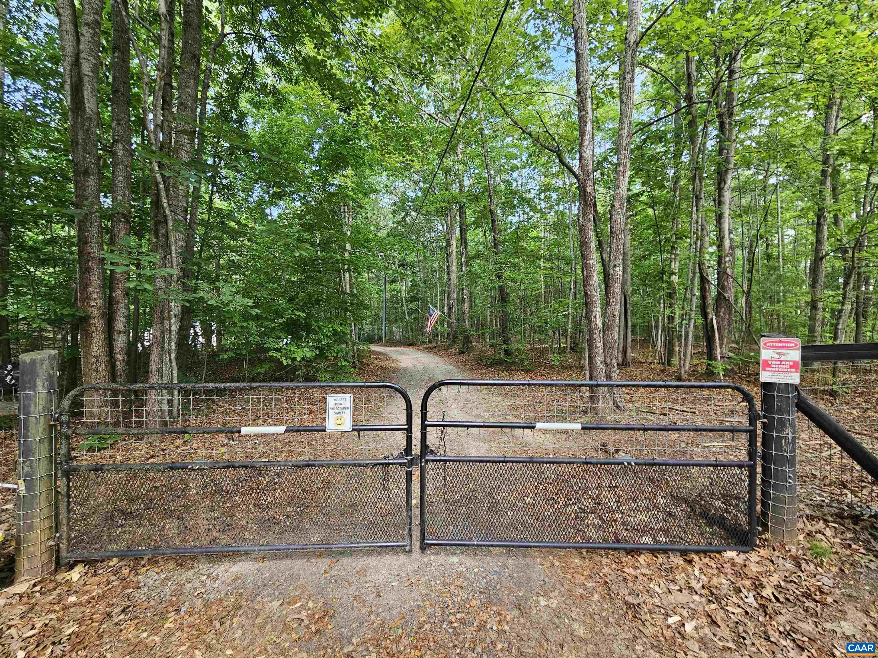 981 Scotts Bottom Road Dillwyn, VA 23936 - Photo 57 of 62 a view of a park with large trees