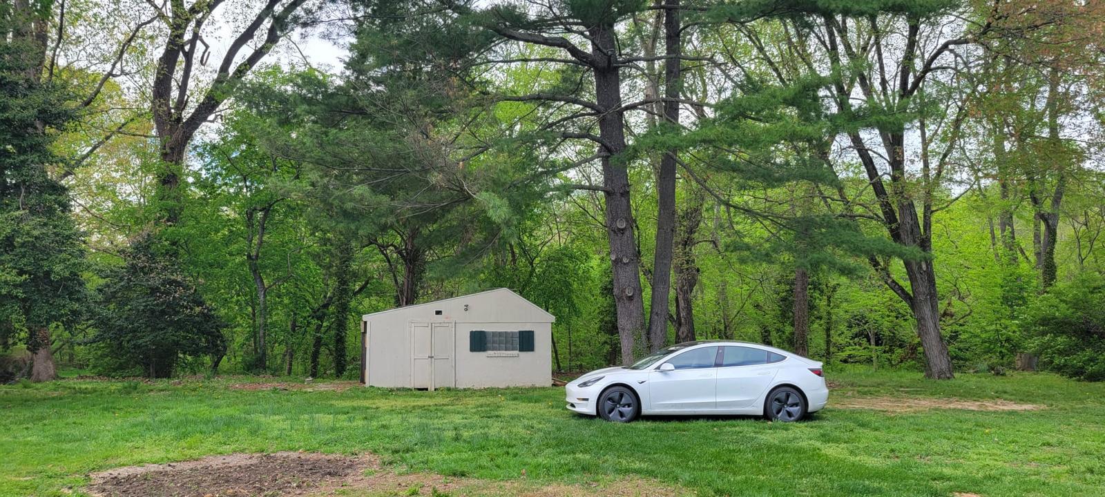 102 Rothwell Drive Wilmington, DE 19804 - Photo 17 of 19 Backyard amidst lush greenery and storage room