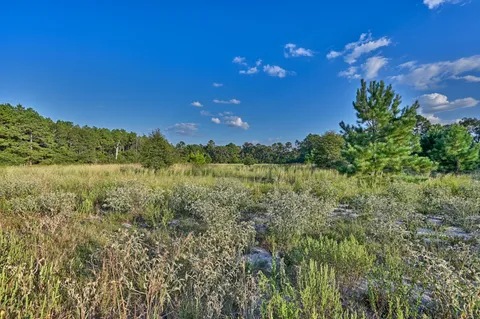 $8,495,000 | 16334 Farm To Market Road 2620, Bedias, TX 77831