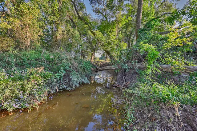 a view of a large pool with lawn chairs and plants
