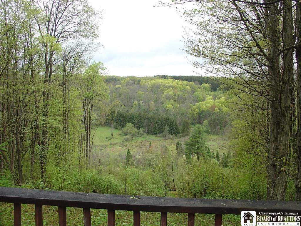0 Union Valley Road Cuba, NY 14727 - Photo 1 of 1