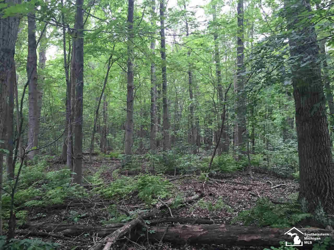 3600 Samaria Road Temperance, MI 48182 - Photo 11 of 41