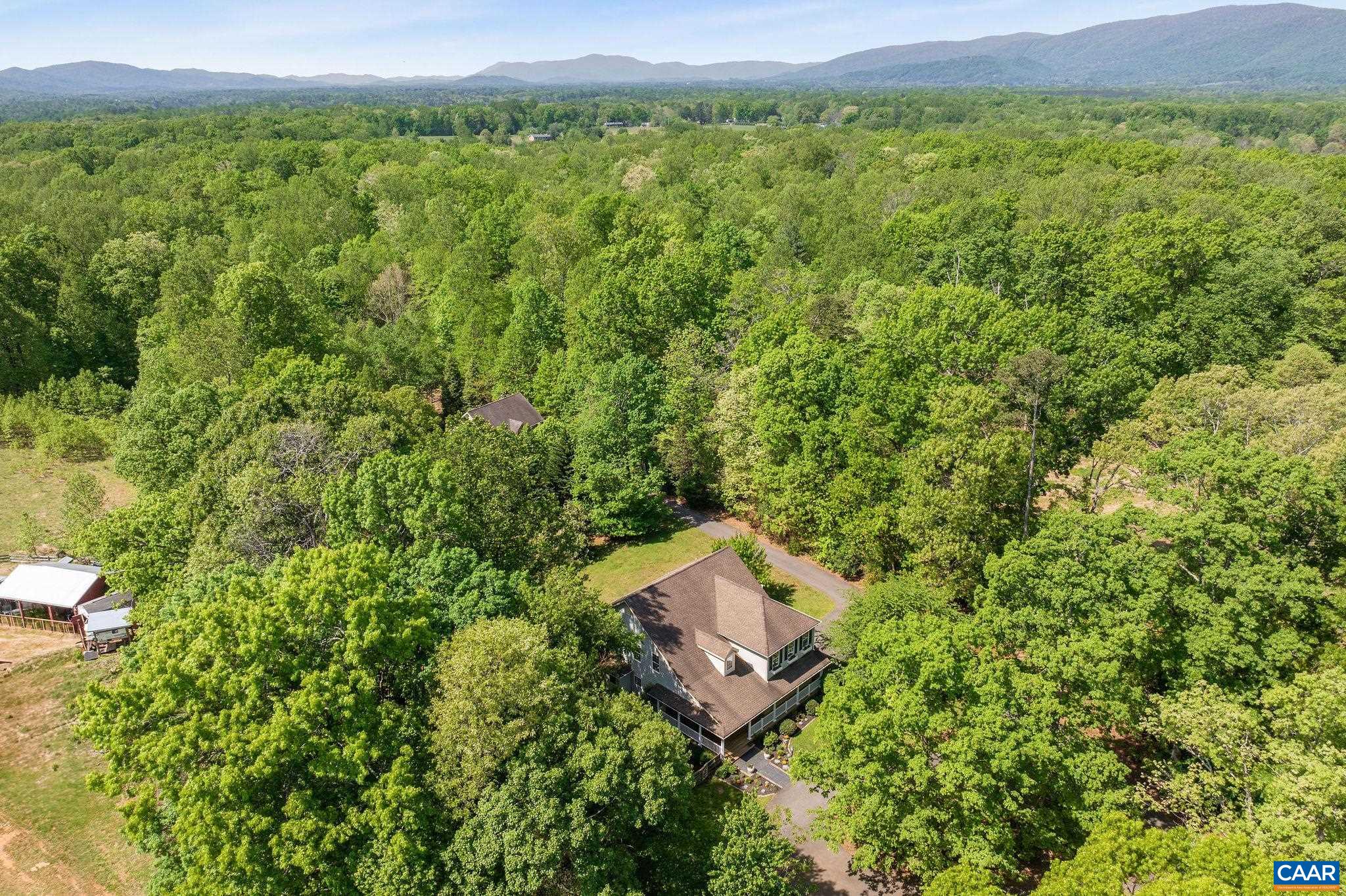 3591 Garth Road Charlottesville, VA 22901 - Photo 54 of 61 a view of a lush green forest with a mountain