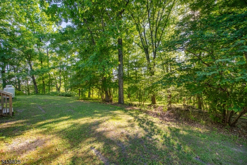 12 Sharrer Road Flemington, NJ 08822 - Photo 38 of 46