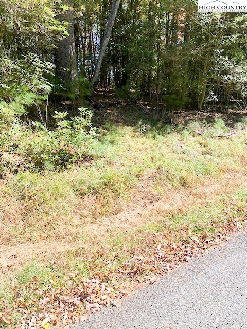 Hollyknoll Road Glade Valley, NC 28627 - Photo 12 of 13 a view of backyard of green space