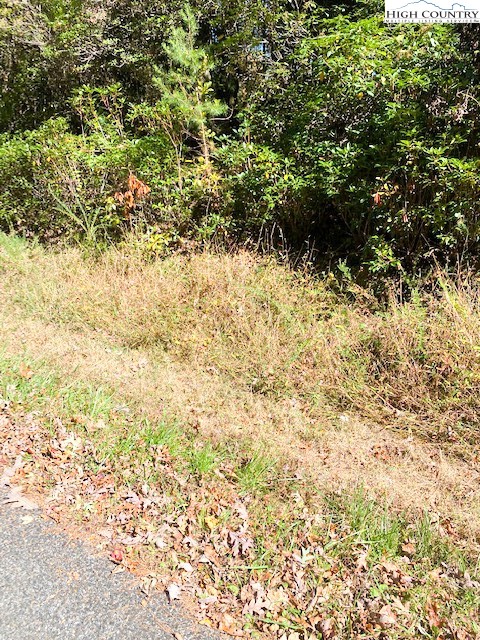 Hollyknoll Road Glade Valley, NC 28627 - Photo 13 of 13 a view of a yard with a tree