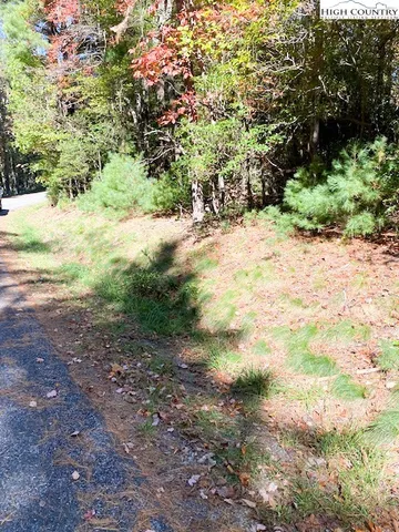 a view of a yard with plants and trees