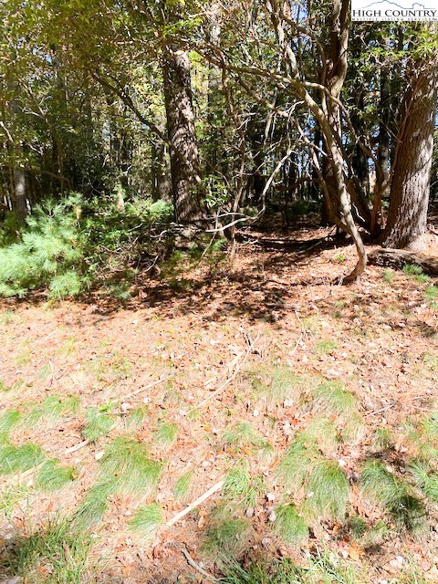 Hollyknoll Road Glade Valley, NC 28627 - Photo 4 of 13 a view of tree next to a yard