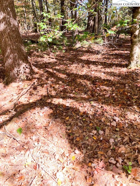 Hollyknoll Road Glade Valley, NC 28627 - Photo 5 of 13 a view of a tree