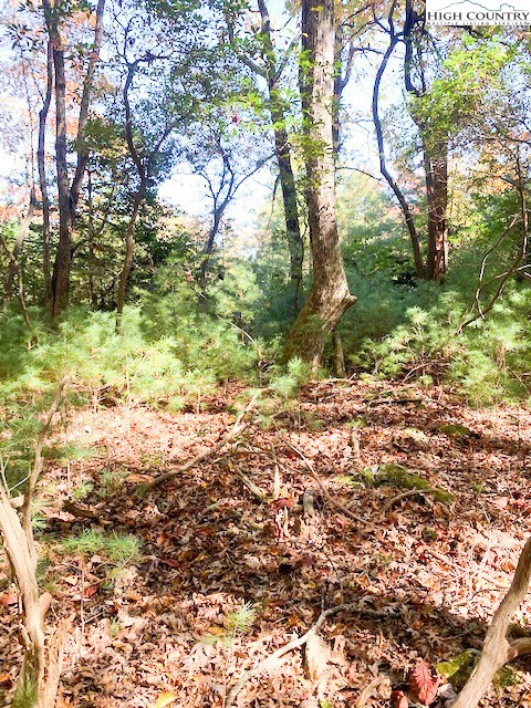 Hollyknoll Road Glade Valley, NC 28627 - Photo 6 of 13 a view of a yard with plants and trees