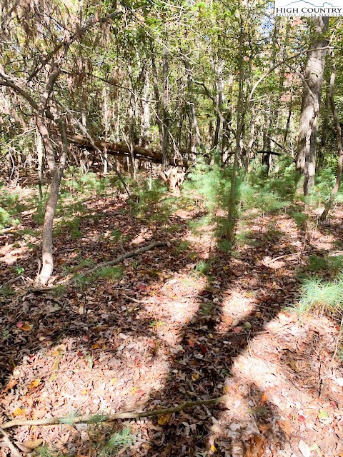 Hollyknoll Road Glade Valley, NC 28627 - Photo 7 of 13 a view of a yard with a tree