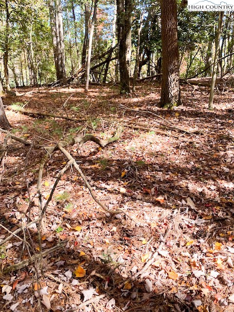 Hollyknoll Road Glade Valley, NC 28627 - Photo 9 of 13 a view of road covered with snow