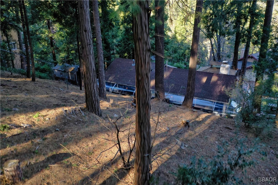 24607 Bernard Drive Crestline, CA 92325 - Photo 21 of 31