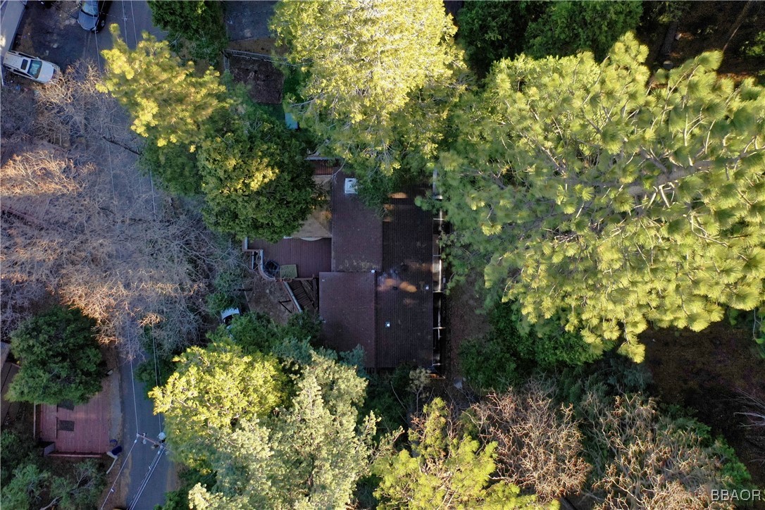 24607 Bernard Drive Crestline, CA 92325 - Photo 28 of 31