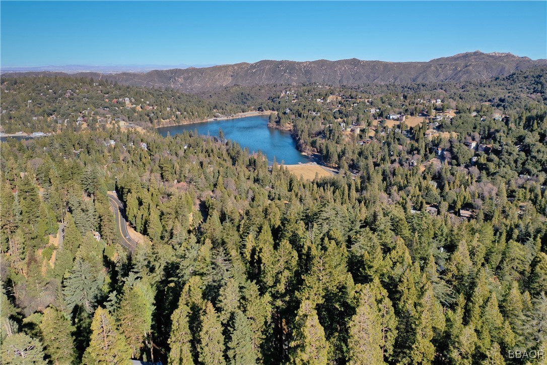 24607 Bernard Drive Crestline, CA 92325 - Photo 30 of 31