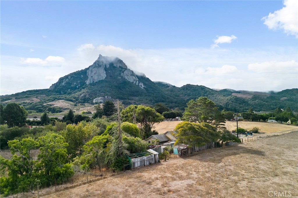a view of a dry yard with mountains