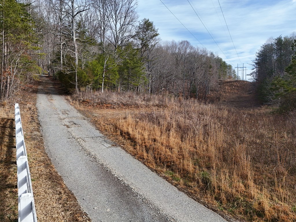 Lot 1 Jordan Road Blairsville, GA 30512 - Photo 4 of 10