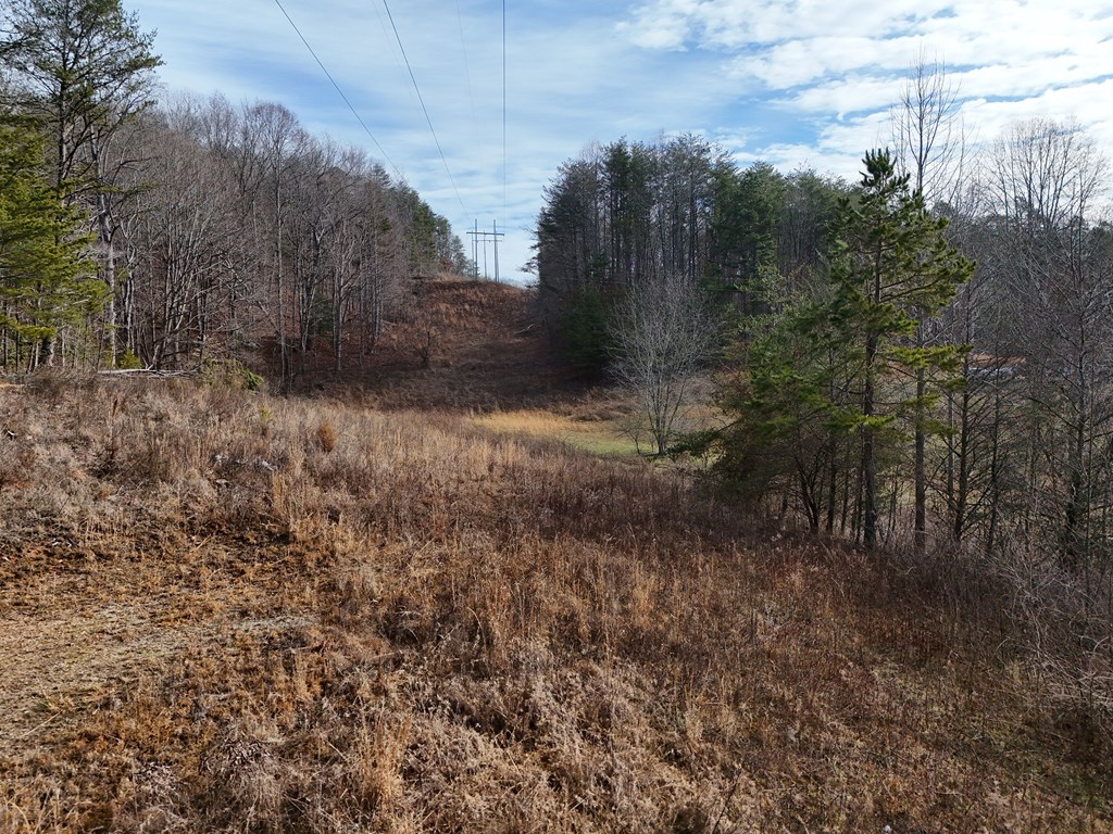 Lot 1 Jordan Road Blairsville, GA 30512 - Photo 5 of 10