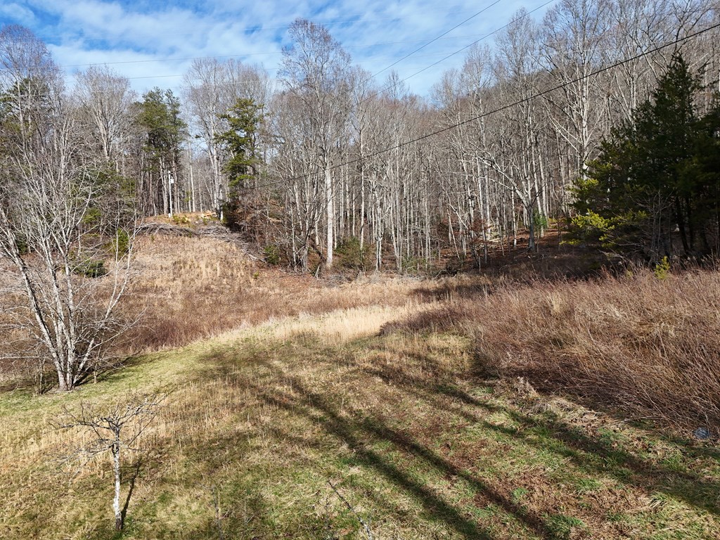 Lot 1 Jordan Road Blairsville, GA 30512 - Photo 7 of 10