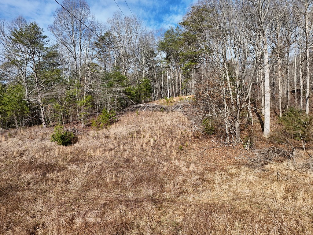 Lot 1 Jordan Road Blairsville, GA 30512 - Photo 8 of 10
