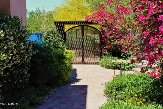 a view of a garden with a bench