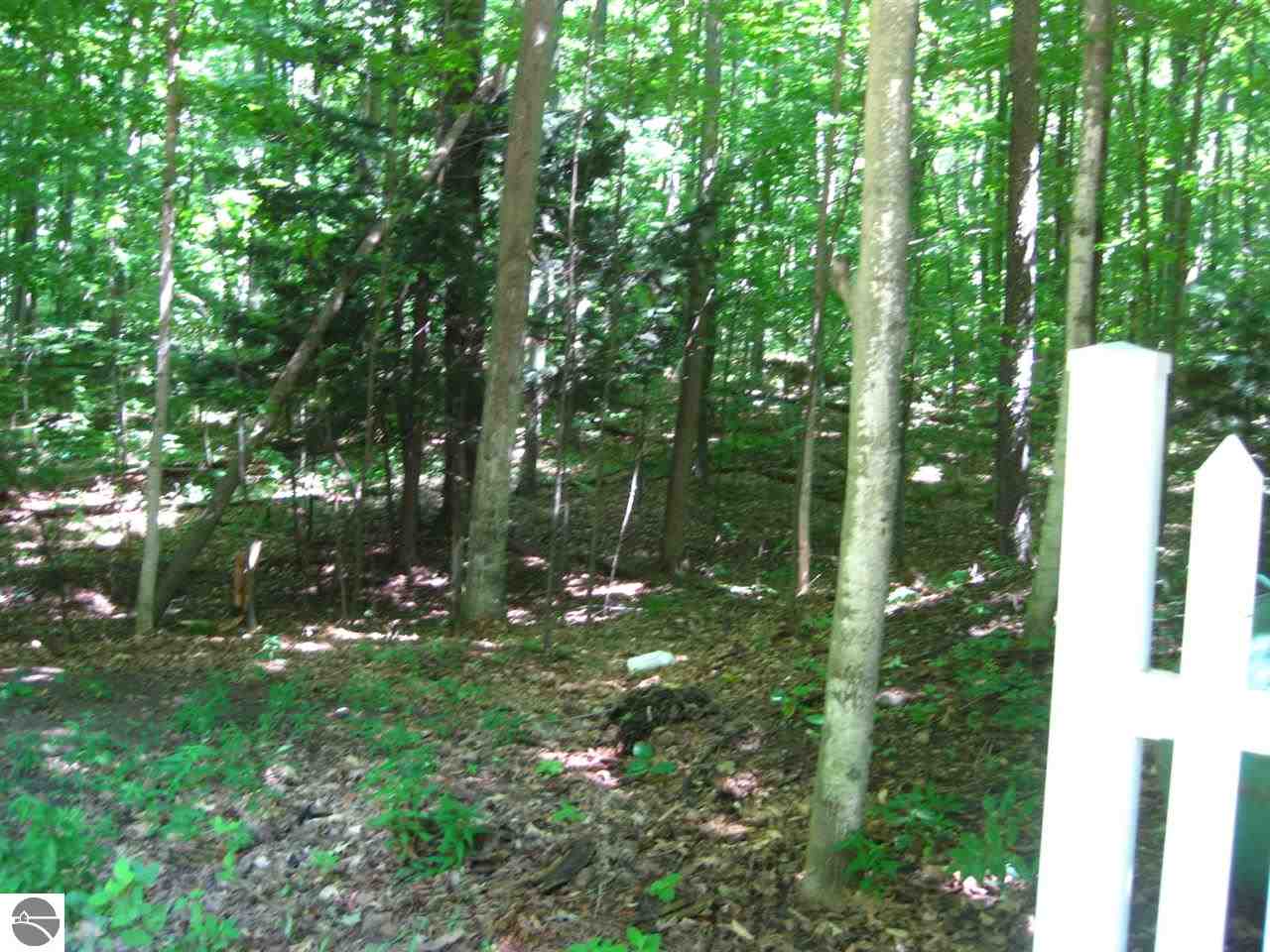 10221 South Bow Road Maple City, MI 49664 - Photo 8 of 50 1774997-7.JPG