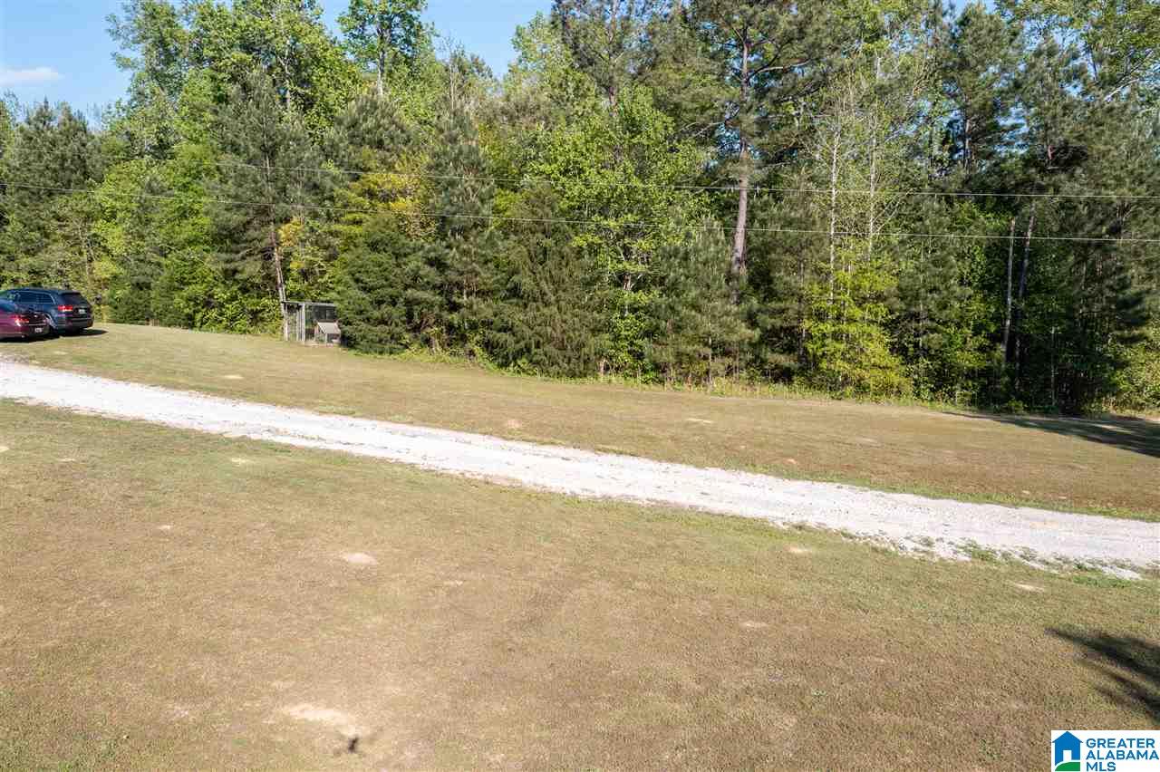 995 Mountainview Road Wellington, AL 36279 - Photo 35 of 35
