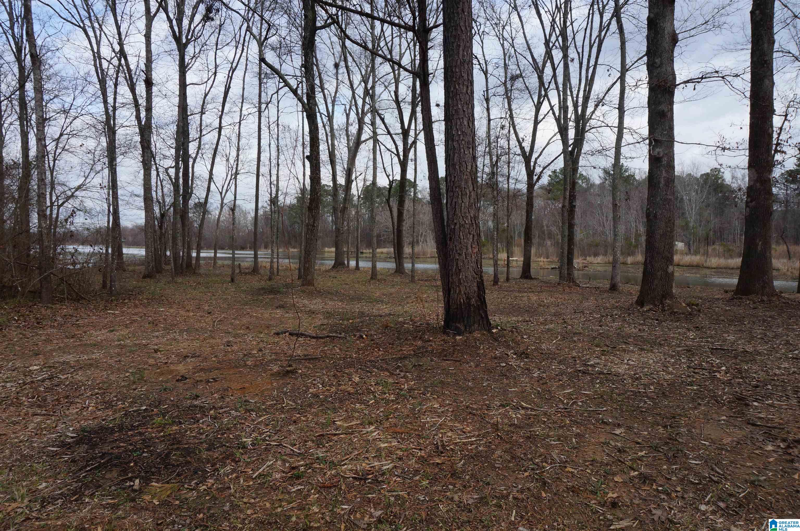 280 Heasletts Road Childersburg, AL 35044 - Photo 30 of 32